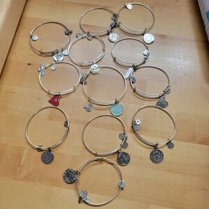 COPY - Alex and ani charm bracelets